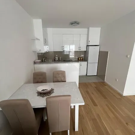 Luxury Apartment